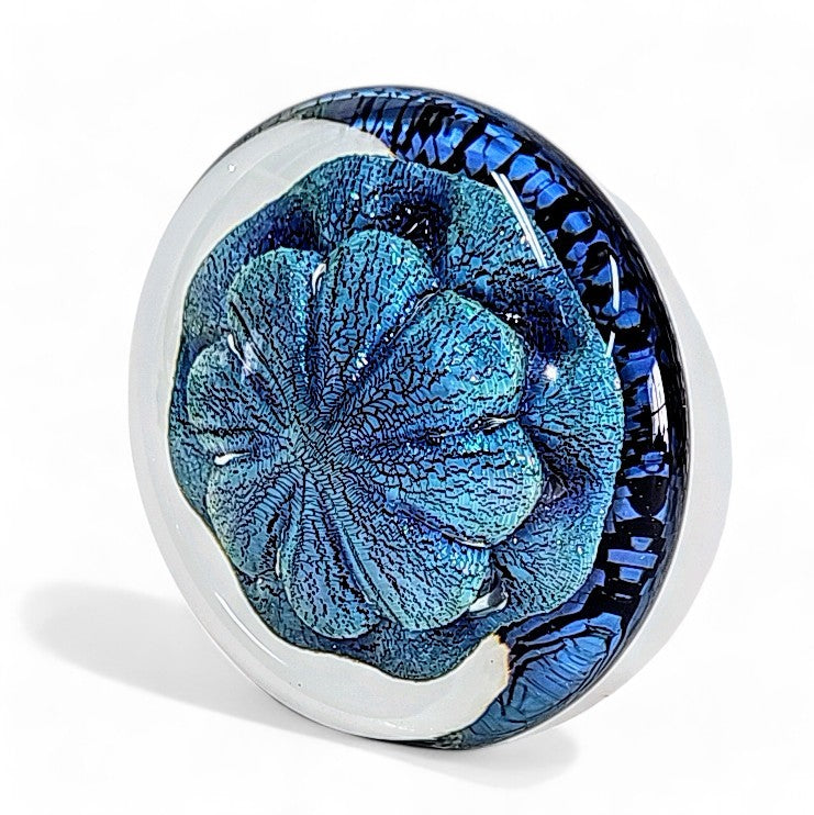 Robert Eickholt Cased Dichroic Glass Sea Anemone Paperweight - Signed 1995