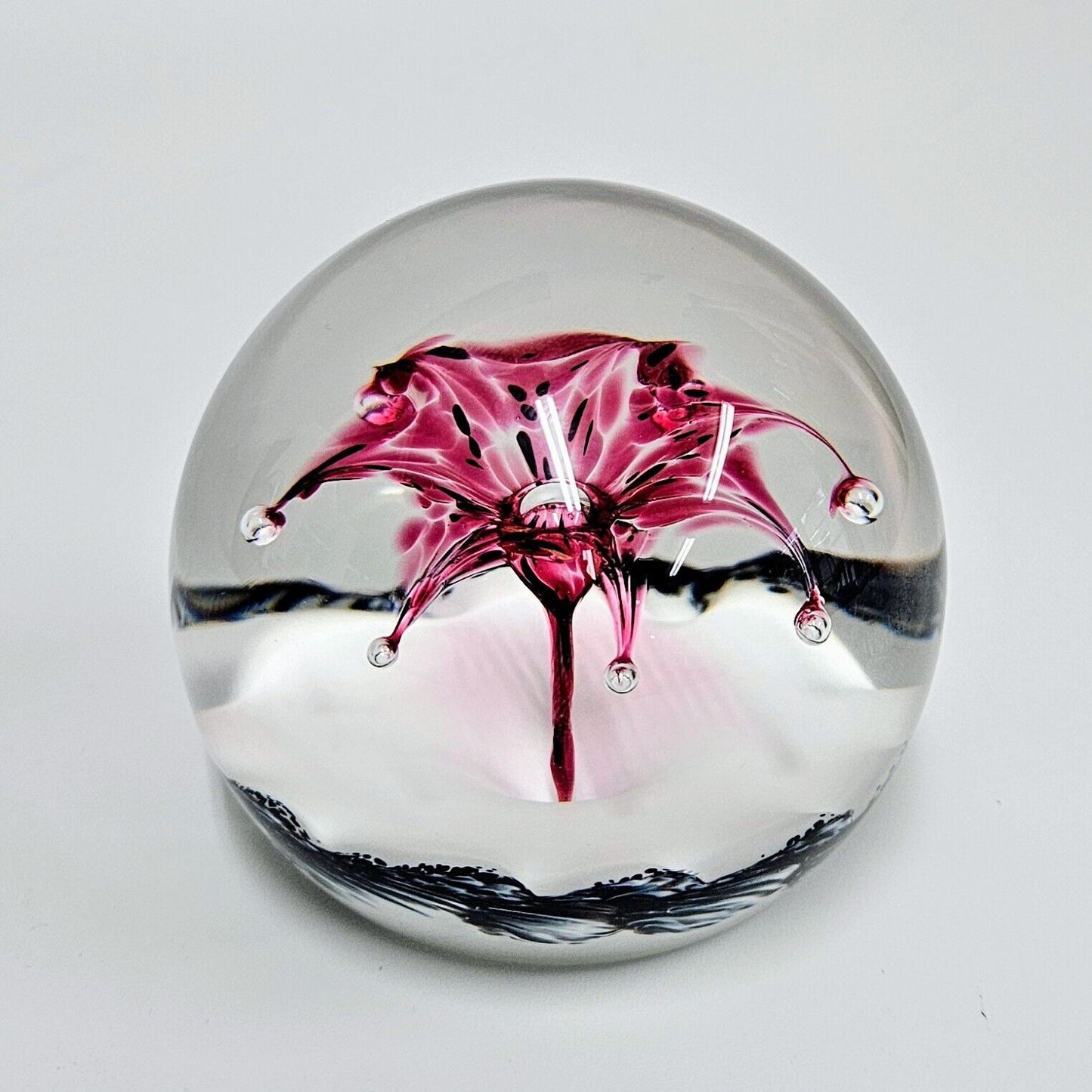 Selkirk Paperweight Bright Pink Firecracker 1999 Scotland